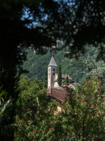 Tramin roner_natur_tramin_4.jpg